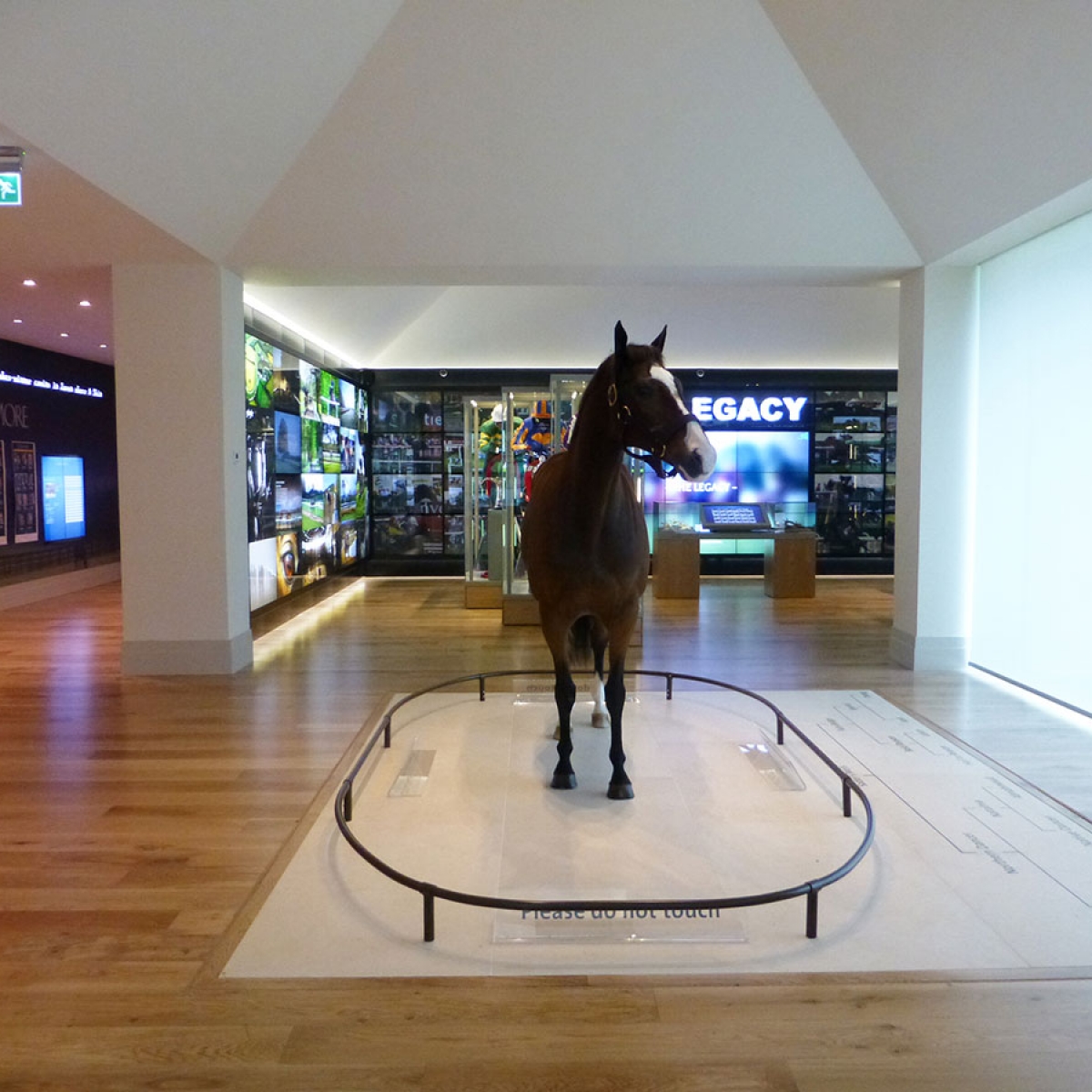 New Equestrian Museum, Tipperary Stud Farm, Ireland Smallwood Architects